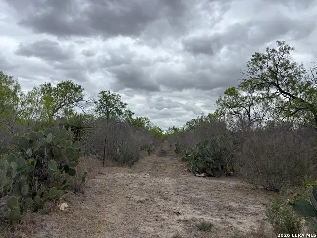 1460 County Road 193, Karnes City, TX 78118 - #2