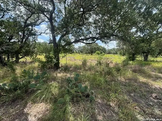 LOT 44 Pr 2535, Mico, TX 78056 - #2