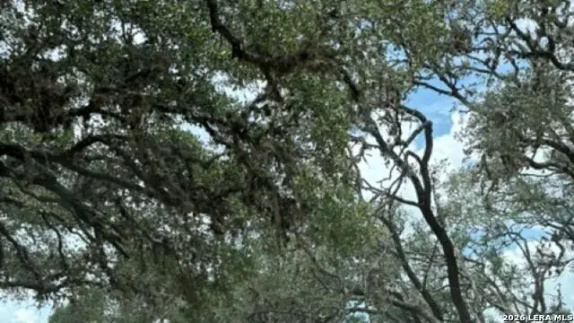 LOT 43 Pr 2535, Mico, TX 78056 - #1