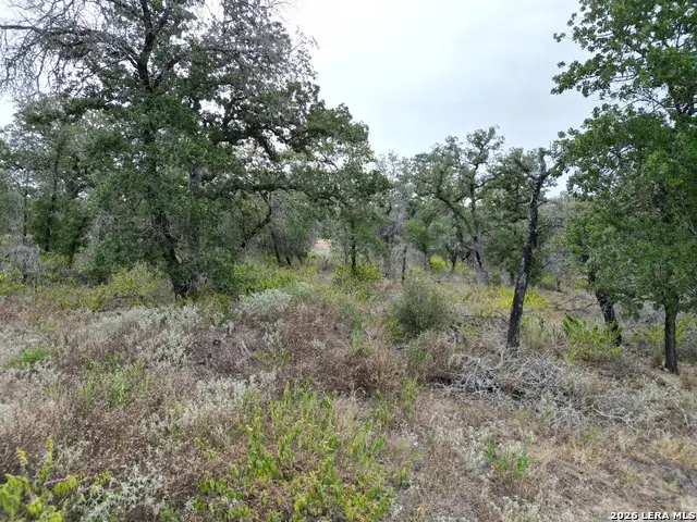 209 Timber Pl, La Vernia, TX 78121 - #1