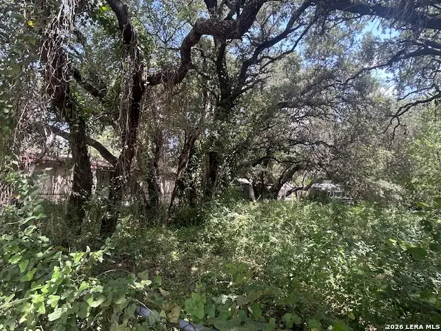 2711 Ray Lieck, San Antonio, TX 78253 - #2