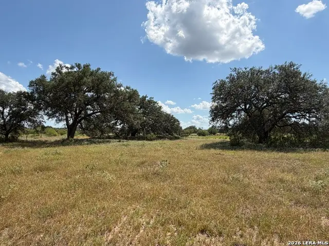 3432 Fm 3432, Adkins, TX 78101 - #1