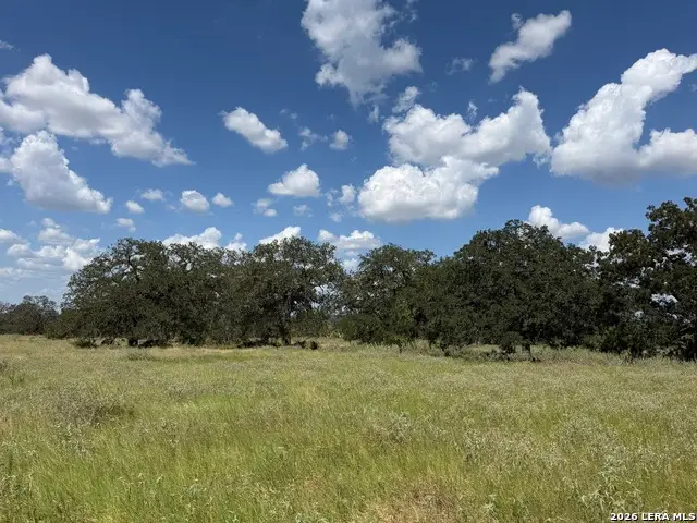3432 Fm 3432, Adkins, TX 78101 - #2