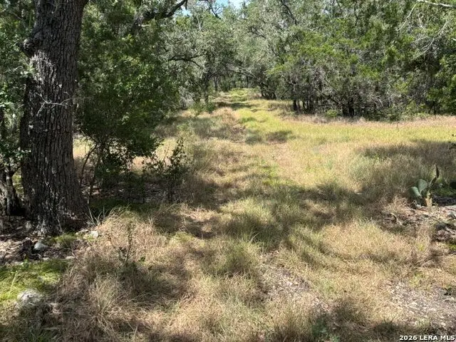 LOT 37 Pr 2532, Mico, TX 78056 - #2