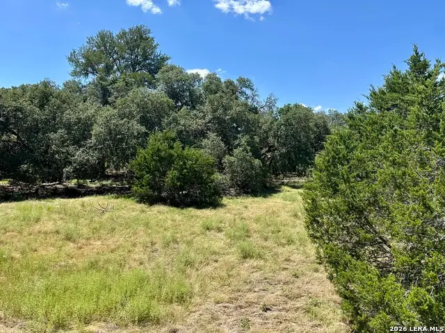 TBD-LOT 8 Sisterdale Road, Boerne, TX 78006 - #3