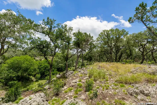 0007 Hidden Springs Ranch, Spring Branch, TX 78070 - #3