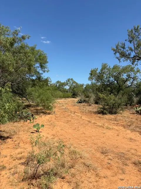 314 County Road, Bigfoot, TX 78005 - #2