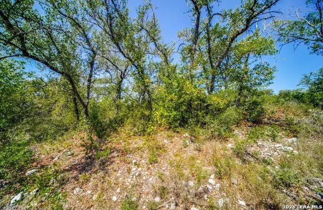 10026 Ivory Cyn, San Antonio, TX 78255 - #1