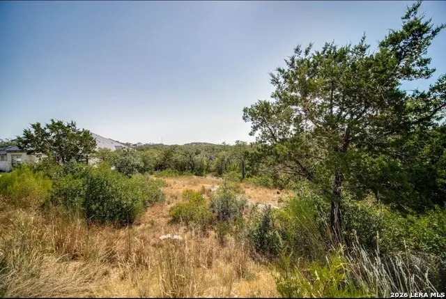10026 Ivory Cyn, San Antonio, TX 78255 - #3