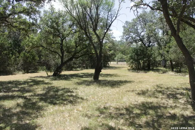 147 Big Shades Rd, Concan, TX 78838 - #2