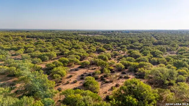 4 Cr 331 W, Jourdanton, TX 78026 - #3