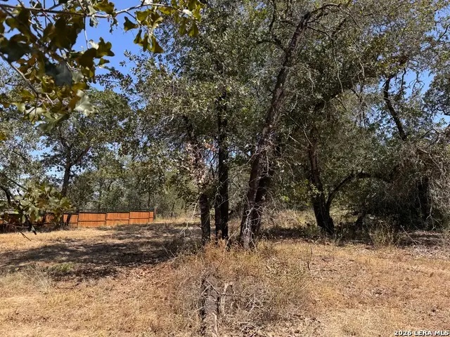 157 Ash Pkwy, La Vernia, TX 78121 - #3