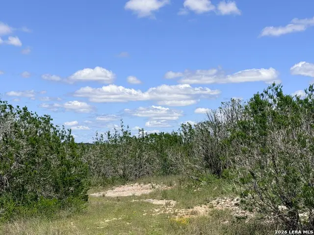 4807 Cr 429, Uvalde, TX 78801 - #3