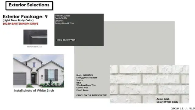 10239 Bartenheim Dr, Schertz, TX 78154 - #3