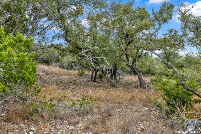 683 Lasso Loop, Canyon Lake, TX 78133 - #2