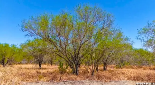 00 Farm To Market Rd 1329, Concepcion, TX 78349 - #3