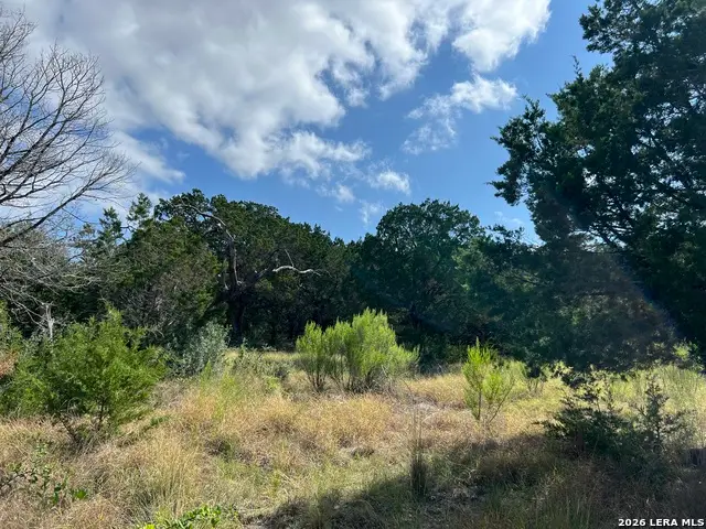 145 E Hunter, Pipe Creek, TX 78063 - #2