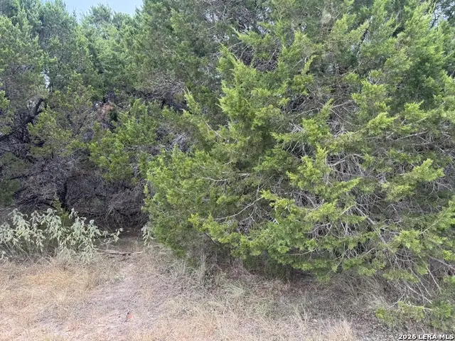1567 Canyon Bnd, Canyon Lake, TX 78133 - #3