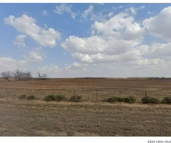 00 Fm 472, Bigfoot, TX 78005 - #3
