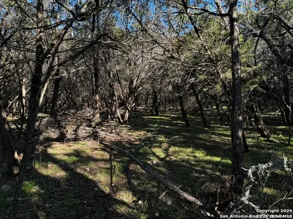 5111 Fm 1863, Bulverde, TX 78163