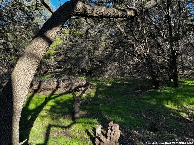 5111 Fm 1863, Bulverde, TX 78163 - #2