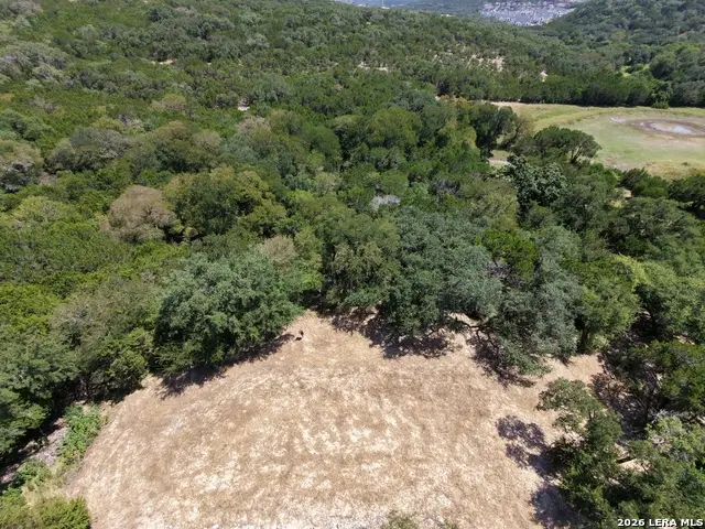 20311 Bobwhite Run, San Antonio, TX 78256 - #3