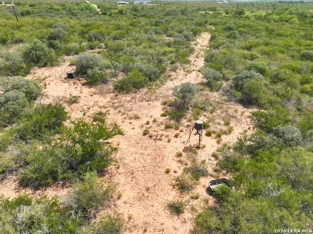 313 Private Road 7504, Yancey, TX 78886 - #1