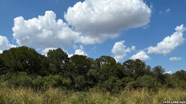 1886 E Us Highway 90, Seguin, TX 78155 - #3
