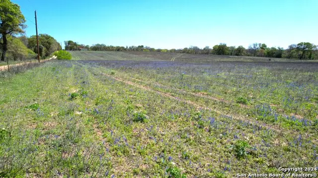 13746 Fm 539, La Vernia, TX 78121 - #1