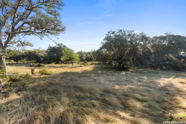 30931 Firebird Ln, Boerne, TX 78015 - #3