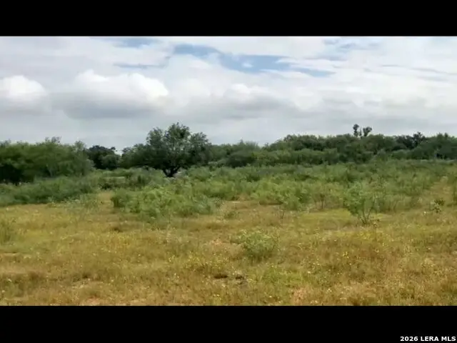 13808-III Greenwood Rd, Atascosa, TX 78002 - #2
