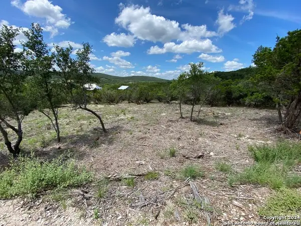 391 Pr 1748 Lot 391, Mico, TX 78056