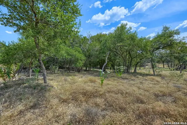 0 Leveritts Loop, Wimberley, TX 78676 - #3