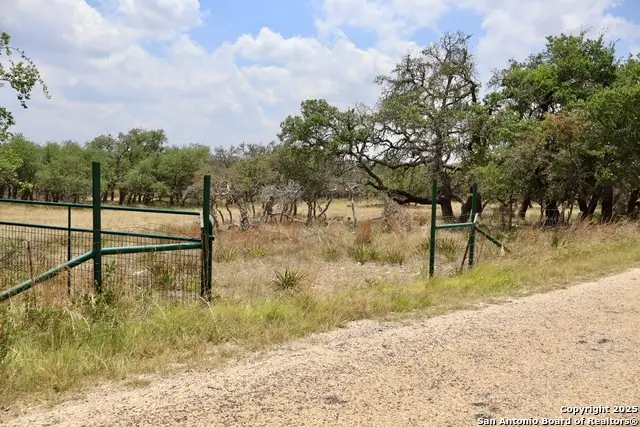 25 Dallas Josie Rd, Harper, TX 78631 - #1