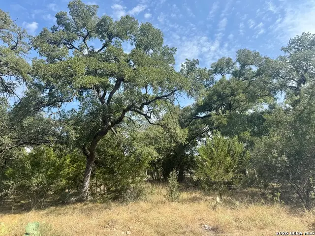 102 Denson Belk, Blanco, TX 78606 - #1
