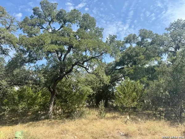 102 Denson Belk, Blanco, TX 78606