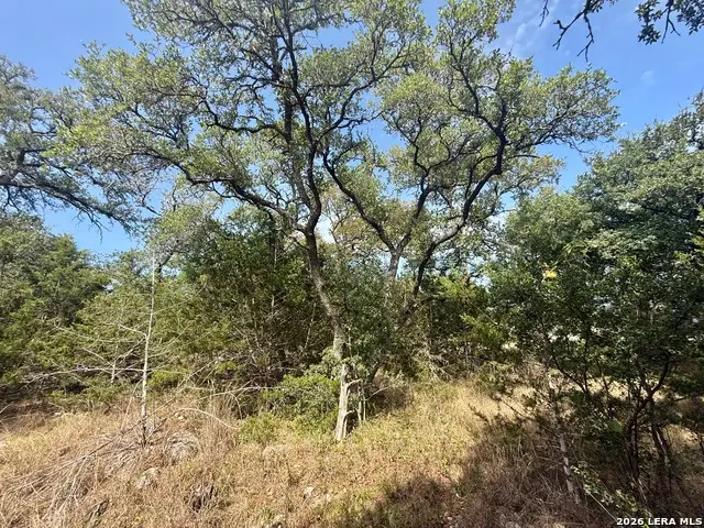 102 Denson Belk, Blanco, TX 78606 - #3