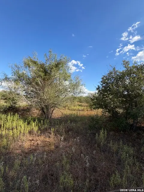 TRACT #4 Elm Creek Rd, Seguin, TX 78155