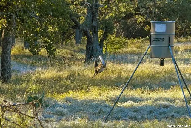 307 Gold Schaefer Rd, Fredericksburg, TX 78624 - #1