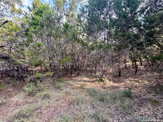462 W Overlook Dr, Canyon Lake, TX 78133 - #2