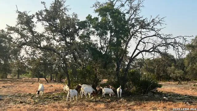 00 County Road 4802, Castroville, TX 78009 - #2
