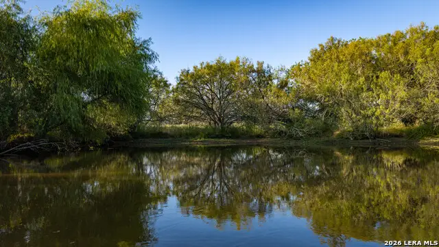 13050 Fm 1346, Saint Hedwig, TX 78152 - #3
