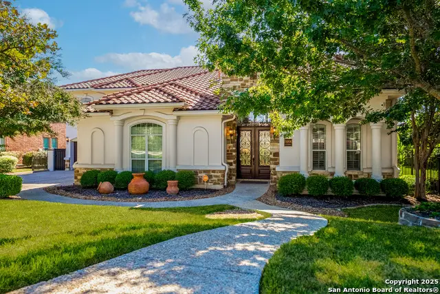24806 Ellesmere, San Antonio, TX 78257 - #1
