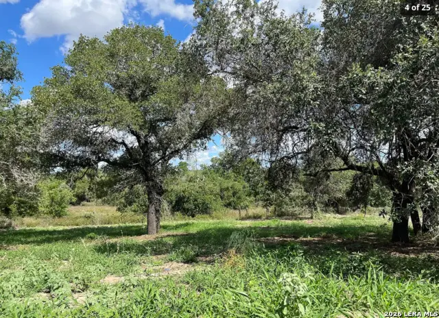 497 County Road 124, Floresville, TX 78114 - #1
