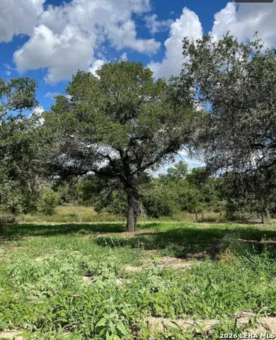 497 County Road 124, Floresville, TX 78114 - #3