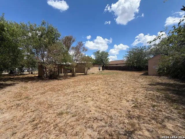 112 Fernandez, Devine, TX 78016 - #3