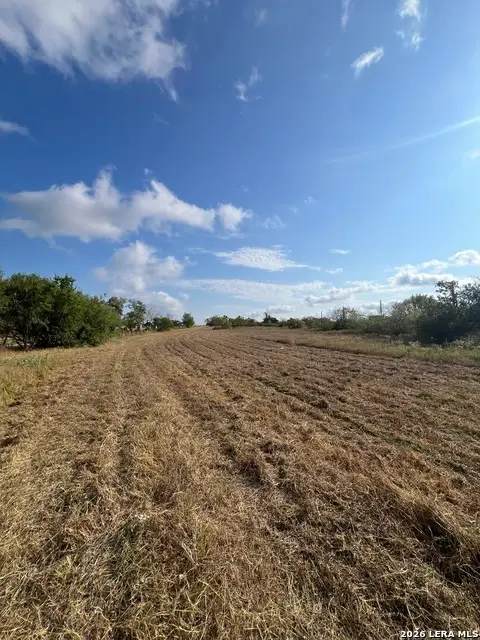 3840 County Road 427, Stockdale, TX 78160 - #2