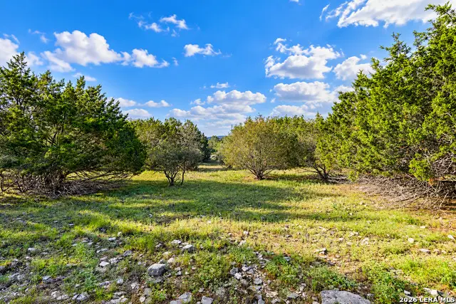 102 Lonesome Dove, Boerne, TX 78006 - #3