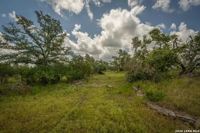 3044 Ridge Crossing, Bulverde, TX 78163 - #3