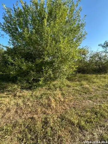 338 Proctor Blvd, San Antonio, TX 78221 - #2